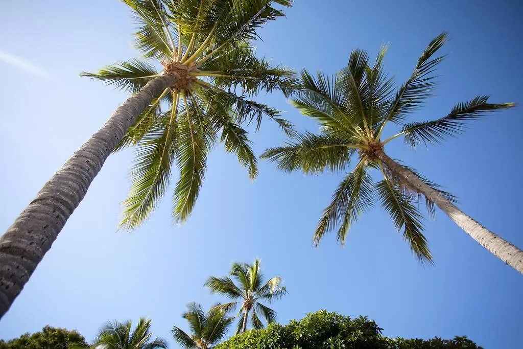 Airlie Sun & Sand Motel Accommodation #4 Airlie Beach Daire